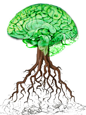 arbre sacr&eacute; yggdrasil