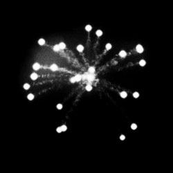 firework explosion de particules